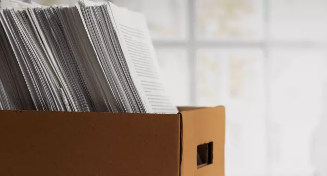 Navigating Sole Proprietorship Taxation and Contributions in Poland